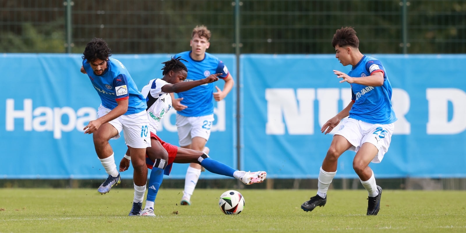 HSV - Holstein Kiel U19 (Foto: Michael Schwarz)